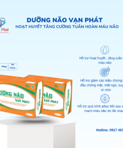 DƯỠNG NÃO VẠN PHÁT